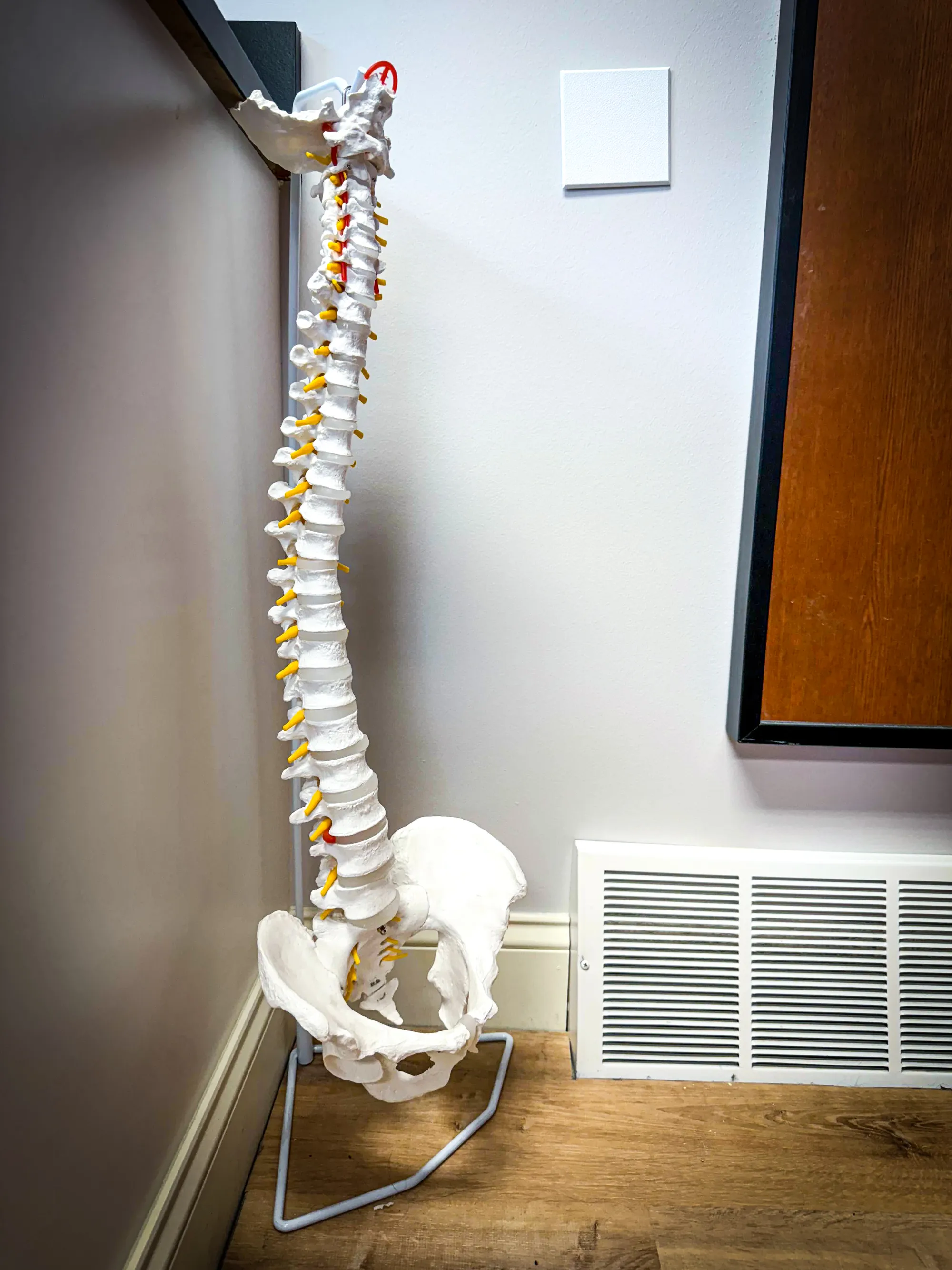 Chiropractic image