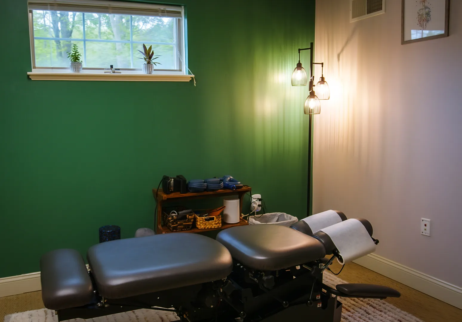 Chiropractic image