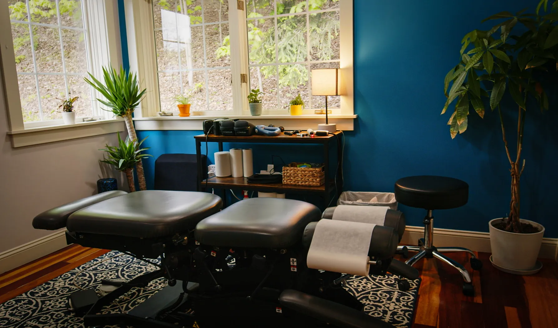 Chiropractic image